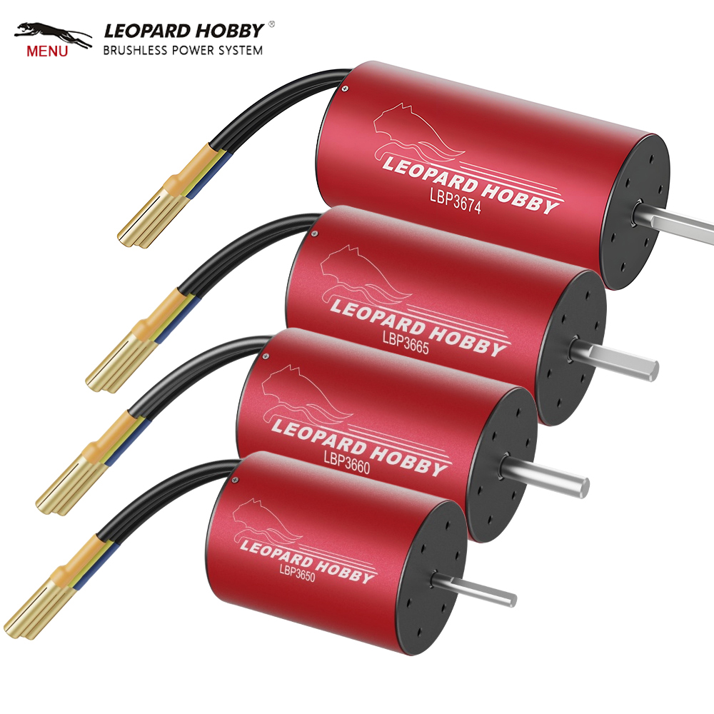 Leopard Hobby 3650/ 3660/ 3665 - 6S Lipo Battery 22.2V 5000Mah recensione e prezzo